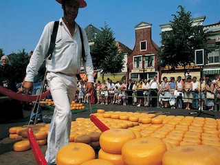 Casa per le vacanze Koedijk Ambiente 28