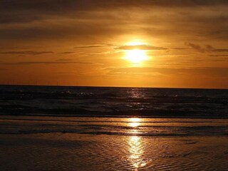 Ferienhaus Koedijk Umgebung 31