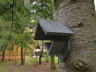 Casa de vacaciones Stramproy Grabación al aire libre 3
