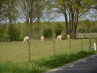 Vakantiehuis Stramproy Omgeving 29