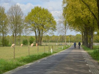 Vakantiehuis Stramproy Omgeving 30