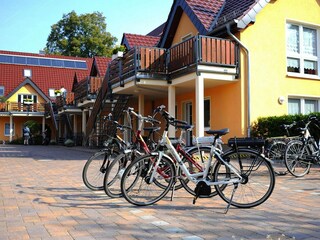 Apartment Schlepzig Außenaufnahme 11