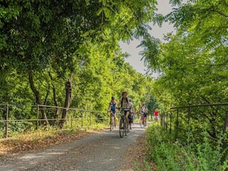 Villa Lorgues Entorno 39