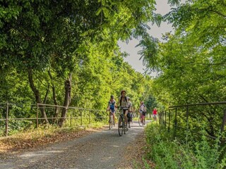 Villa Lorgues Environment 39