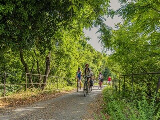 Villa Lorgues Ambiente 37