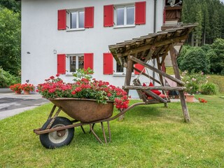 Hausansicht Sommer
