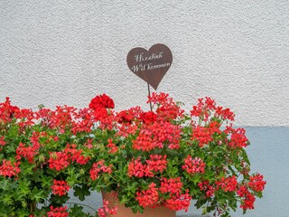 Herzlich Willkommen
