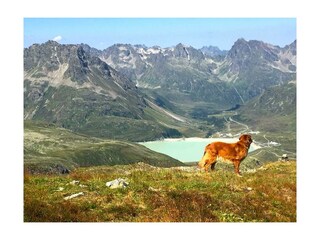 Blick auf Silvrettastausee