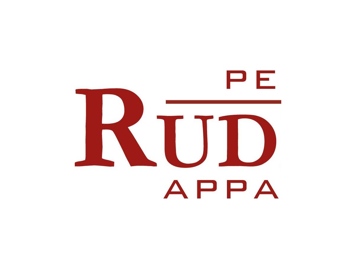 RUDIGIER_Pension logo_2019