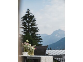 Ferienapartment_Vandans_Aug24_verenaknoepfle-40