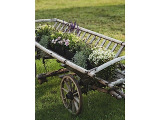 Ferienapartment_Vandans_Aug24_verenaknoepfle-20