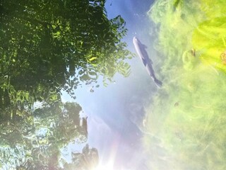 Unser Fischteich