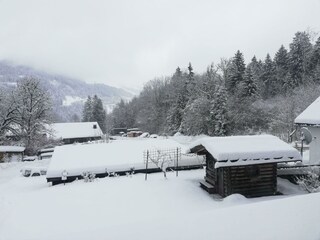 IMG_20210113_093844