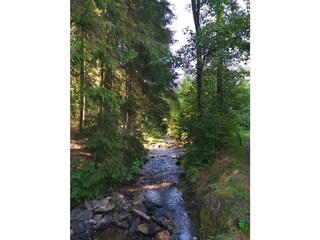 Rund um den See