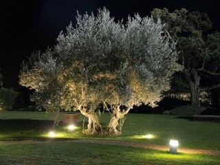 Villa Noto Ambiente 28