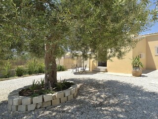 Villa Noto Registrazione all'aperto 8