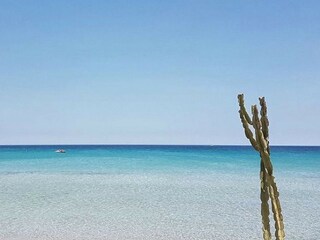 Casa per le vacanze Marzamemi Ambiente 37