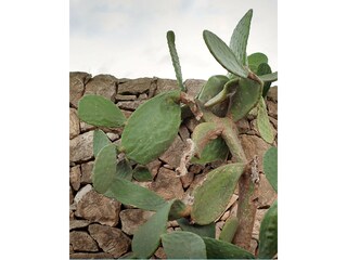 Casa per le vacanze Pachino  54