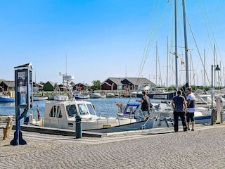Maison de vacances Vester Husby  45