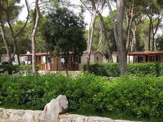 Vakantiepark Biograd Buitenaudio-opname 4