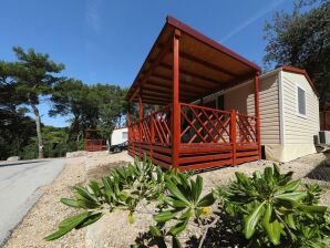 Holiday park Mobilheime im Caravanpark Soline in Biograd - Biograd - image1