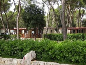 Parco vacanze Casa mobile a Camping Soline a Biograd - Biograd - image1