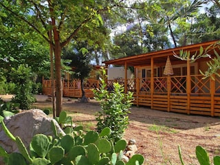 Ferienpark Biograd Außenaufnahme 7