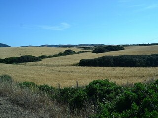 Casa de vacaciones Stintino Entorno 17