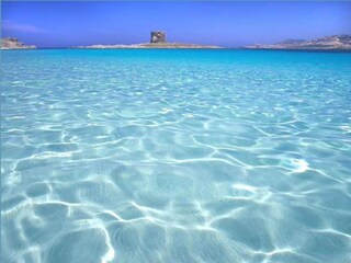 Casa per le vacanze Stintino Ambiente 22