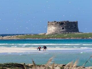 Maison de vacances Stintino Environnement 35