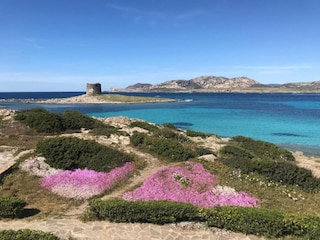 Ferienhaus Stintino Umgebung 19