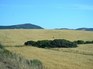 Villa Alghero Environment 22