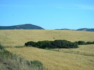 Villa Alghero Umgebung 22