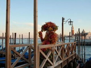 Parc de vacances Venedig Environnement 15