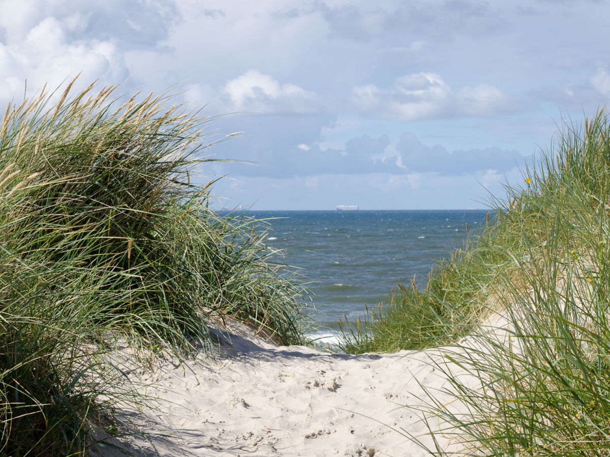 Wangerooges Dünenlandschaft