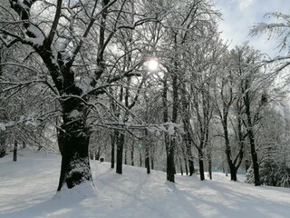 Appartamento Cavalese Ambiente 22