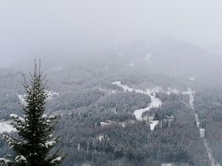 Appartamento Cavalese Ambiente 29