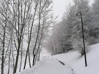 Apartment Cavalese Environment 33