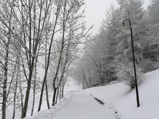 Appartamento Cavalese Ambiente 33