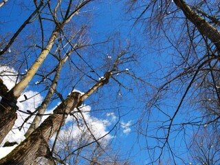 Appartamento Cavalese Ambiente 31