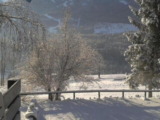 Appartamento Cavalese Ambiente 32