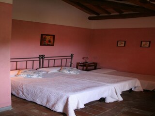 Fattoria Montaione Caratteristiche 31