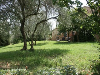 Farmhouse Montaione Outdoor Recording 3