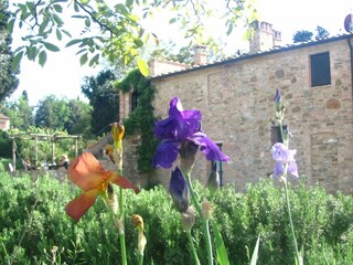 Farmhouse Montaione  35