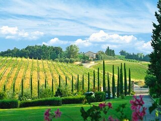 Vakantiepark Montaione Omgeving 14