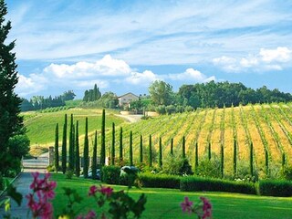 Vakantiepark Montaione Buitenaudio-opname 17