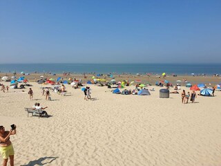 Maison de vacances Groot Valkenisse Environnement 29