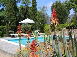 Holiday house Capoliveri Outdoor Recording 4