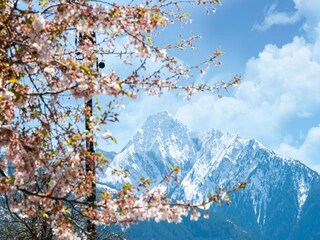 Apartamento Kaltenbach Entorno 30