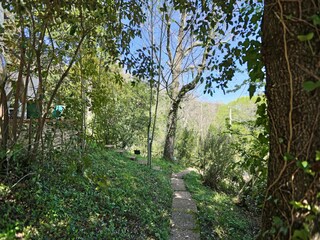 Casa de vacaciones Castagneto Carducci Grabación al aire libre 5